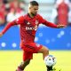 insigne