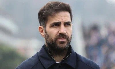 fabregas