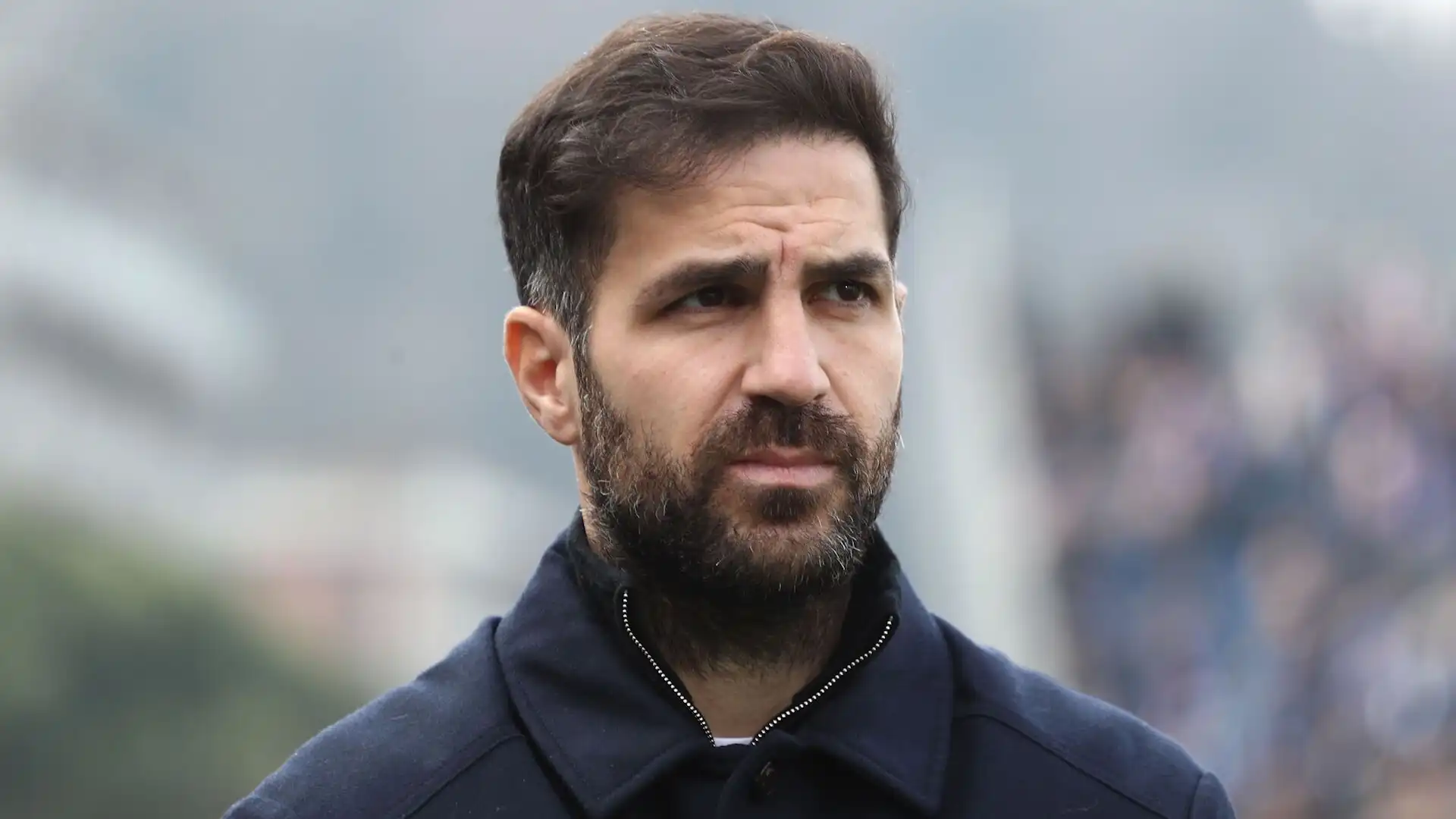 fabregas