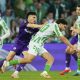 fiorentina